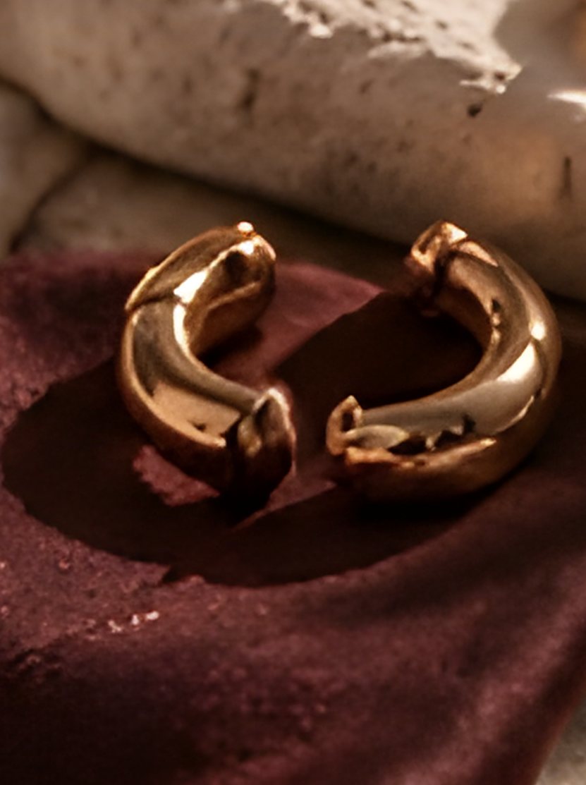 Sculptural Earrings